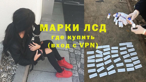 шишки Зерноград