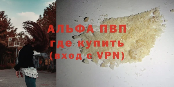 амф Щучье