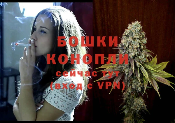 шишки Зерноград