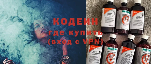 амф Щучье