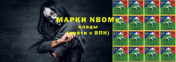 амф Щучье