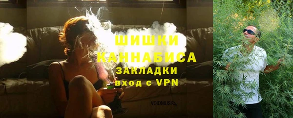 амф Щучье