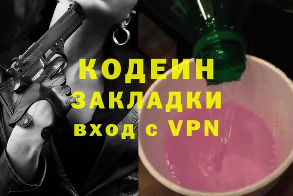 амф Щучье