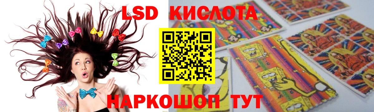 Галлюциногенные грибы Реутов