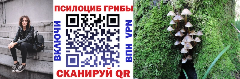 Псилоцибиновые грибы MAGIC MUSHROOMS  хочу   Реутов 