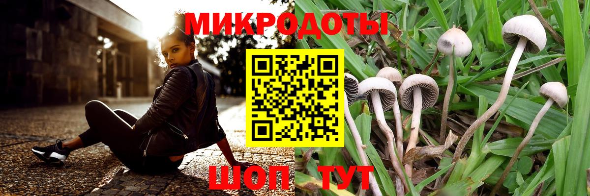 Псилоцибиновые грибы MAGIC MUSHROOMS Реутов