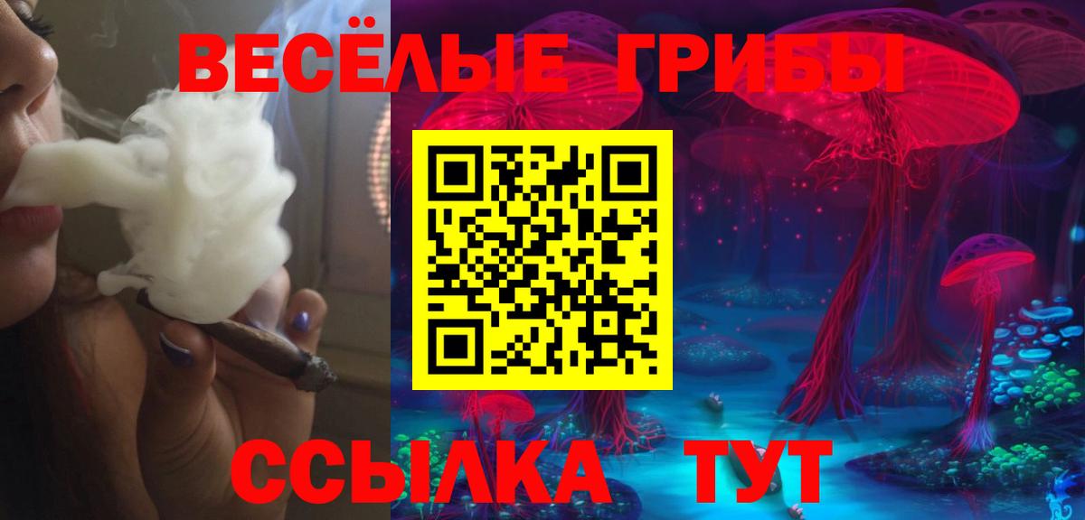Реутов  Псилоцибиновые грибы MAGIC MUSHROOMS  Вход с VPN 